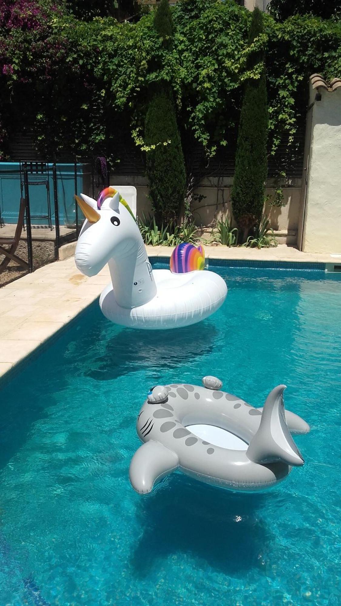 Maison Pelissier Bed And Breakfast With Sweeming Pool Cuxac-dʼAude Екстериор снимка